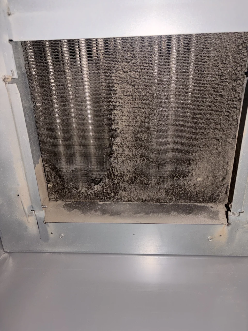 Buildup on another indoor coil before cleaning